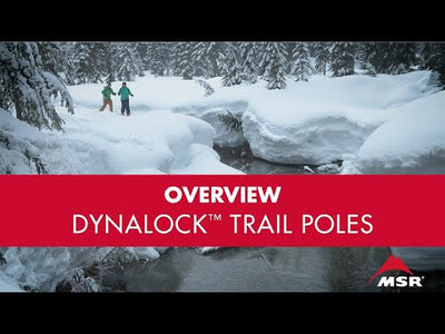 MSR DynaLock Trail Backcountry Poles