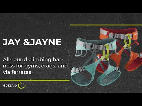 Edelrid Jay Sit Harness - Men