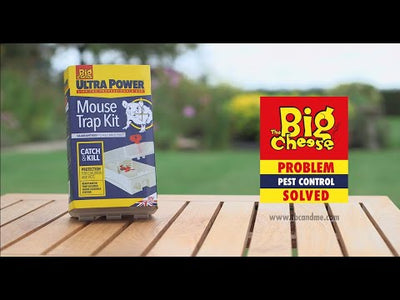 STV Big Cheese Ready-Baited Mouse Trap Kit