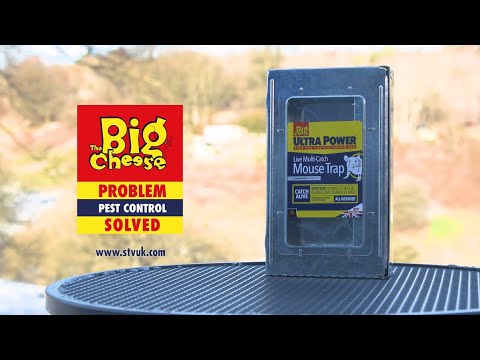 STV Big Cheese Ultra Power Live Multi-Catch Mouse Trap