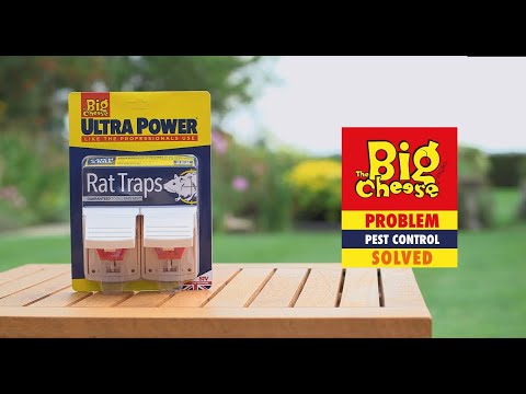 STV Big Cheese Ultra Power Ready-Baited Rat Trap 2-Pack