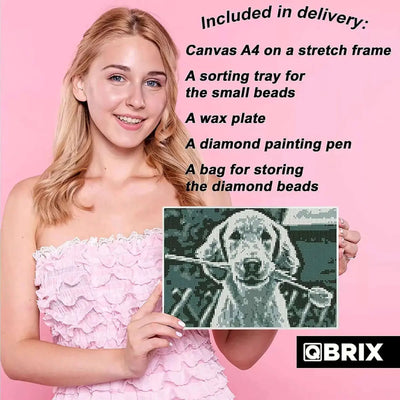 Qbrix A4 Original Diamond Painting Kit - Shop  Puzzles at  Trekaline