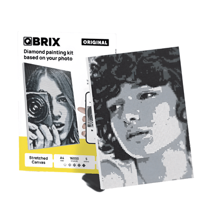 Qbrix A4 Original Diamond Painting Kit - Shop  Puzzles at  Trekaline