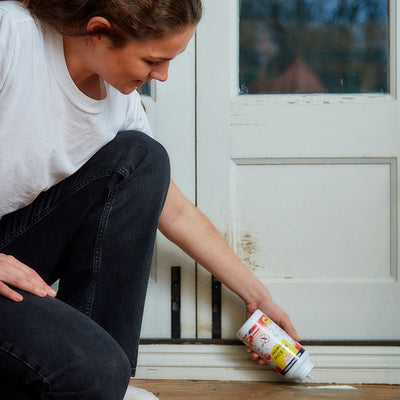 STV Zero In All-In-One Ant Killer Kit