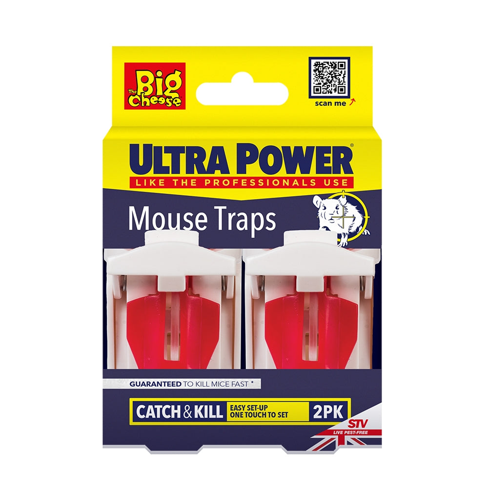 STV Big Cheese Ultra Power Ready-Baited Mouse Trap 2-Pack