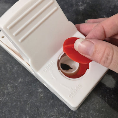 STV Big Cheese Ultra Power Ready-Baited Rat Trap 2-Pack