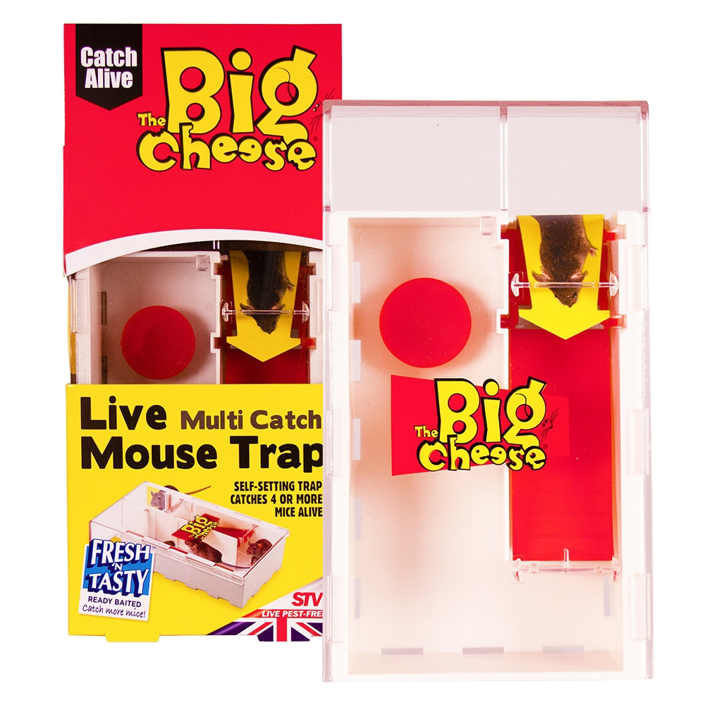 STV Big Cheese Live Multi-Catch Mouse Trap