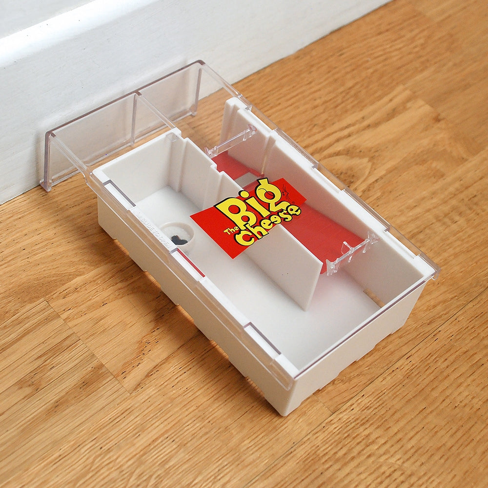 STV Big Cheese Live Multi-Catch Mouse Trap