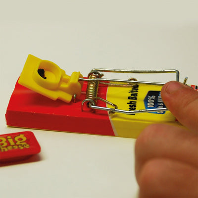 STV Big Cheese Fresh Baited Mouse Trap 2-Pack
