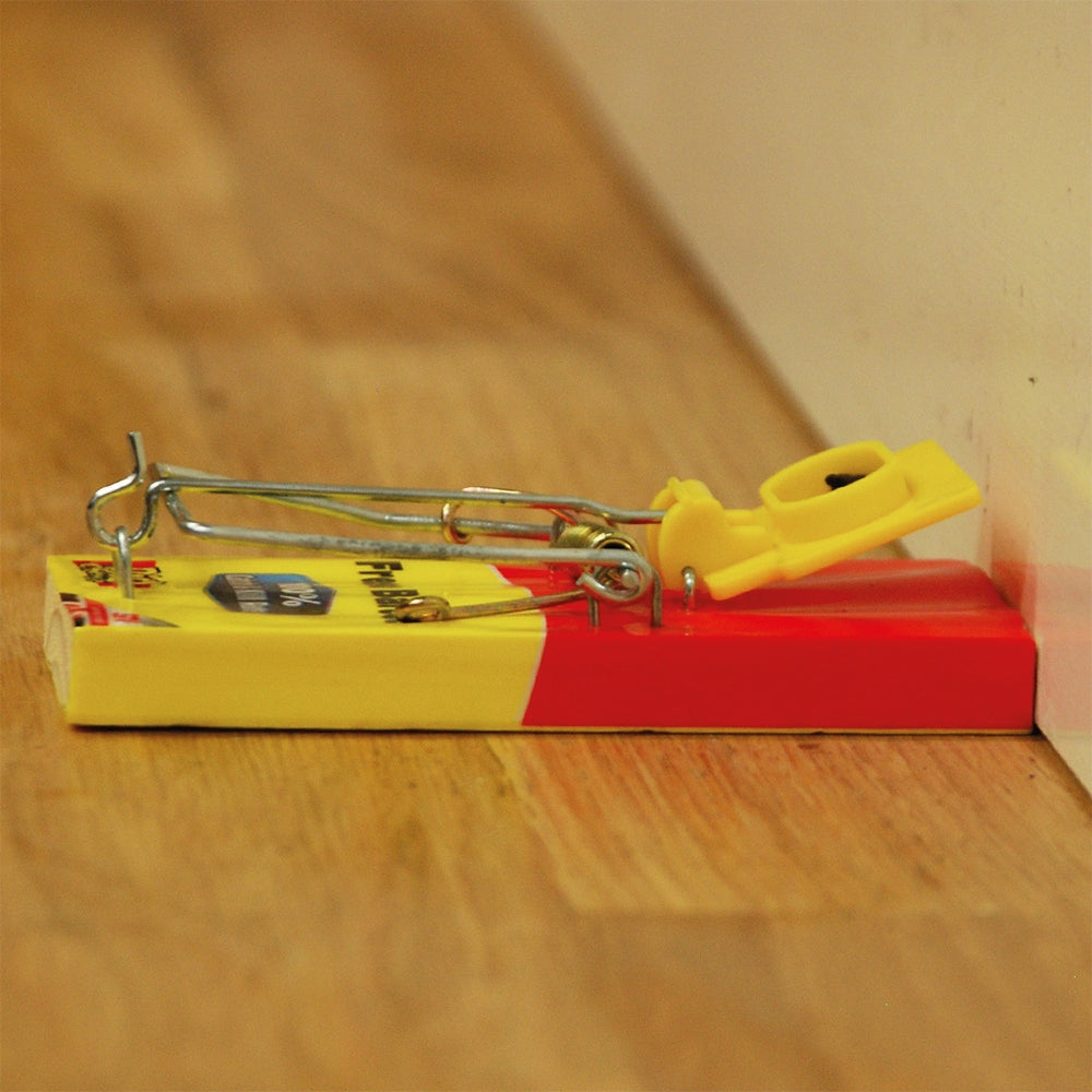 STV Big Cheese Fresh Baited Mouse Trap 2-Pack