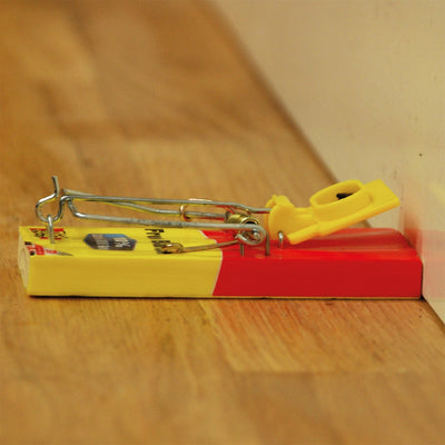 STV Big Cheese Fresh Baited Mouse Trap 2-Pack