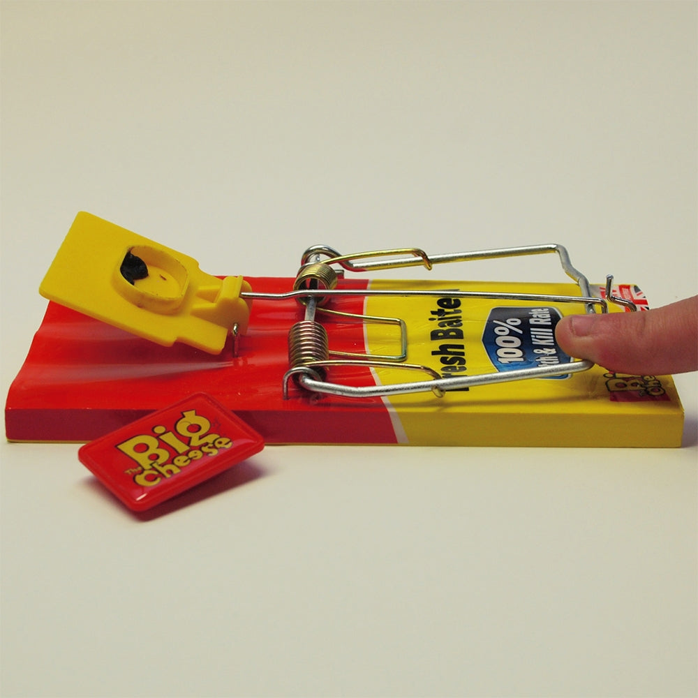 STV Big Cheese Fresh Baited Rat Trap