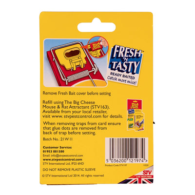 STV Big Cheese Fresh Baited Mouse Trap 2-Pack