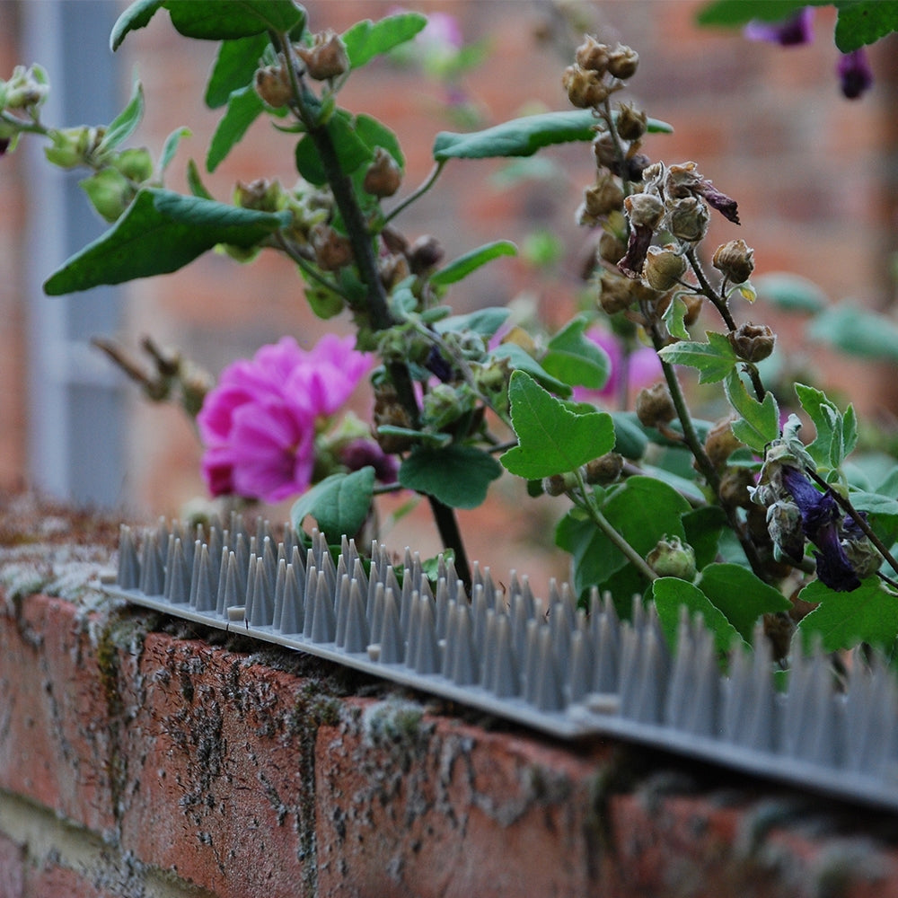 STV Prickle Strip Garden Fence Topper 6-Pack