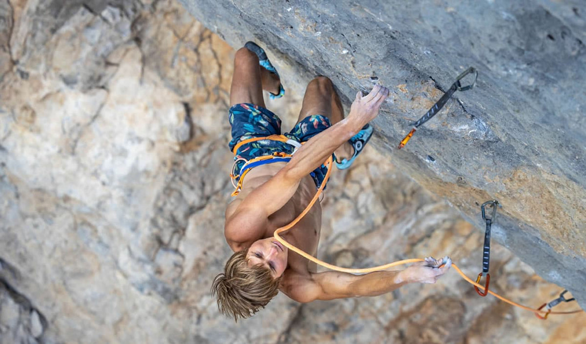Tenaya Indalo Climbing Shoes Men - Shop  Climbing Shoes at  Trekaline