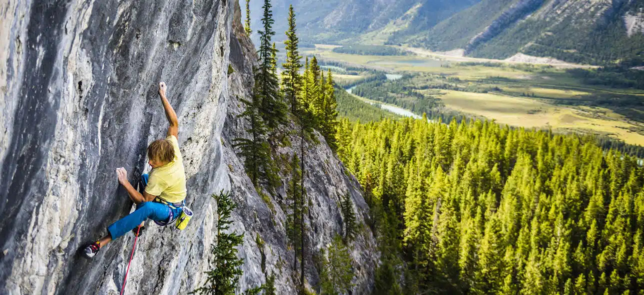 Tenaya Iati Climbing Shoes Men - Shop  Climbing Shoes at  Trekaline