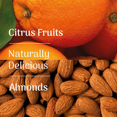 Veloforte Classico Natural Energy Bar ingredients