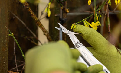 Leatherman Wave Plus - Shop  Multi-Tools at  Trekaline