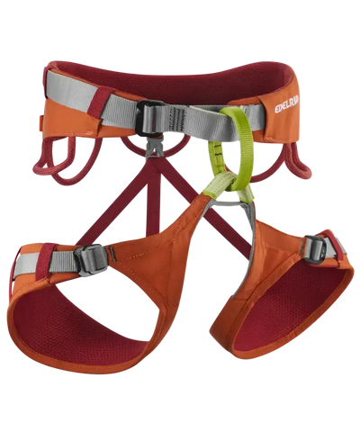 Edelrid Jay Sit Harness All Round Climbing Adjustable - Men