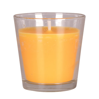 STV Zero In Citronella Candle and Bamboo Torch Refill