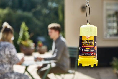 STV Zero In Ultra Power XL Wasp Trap