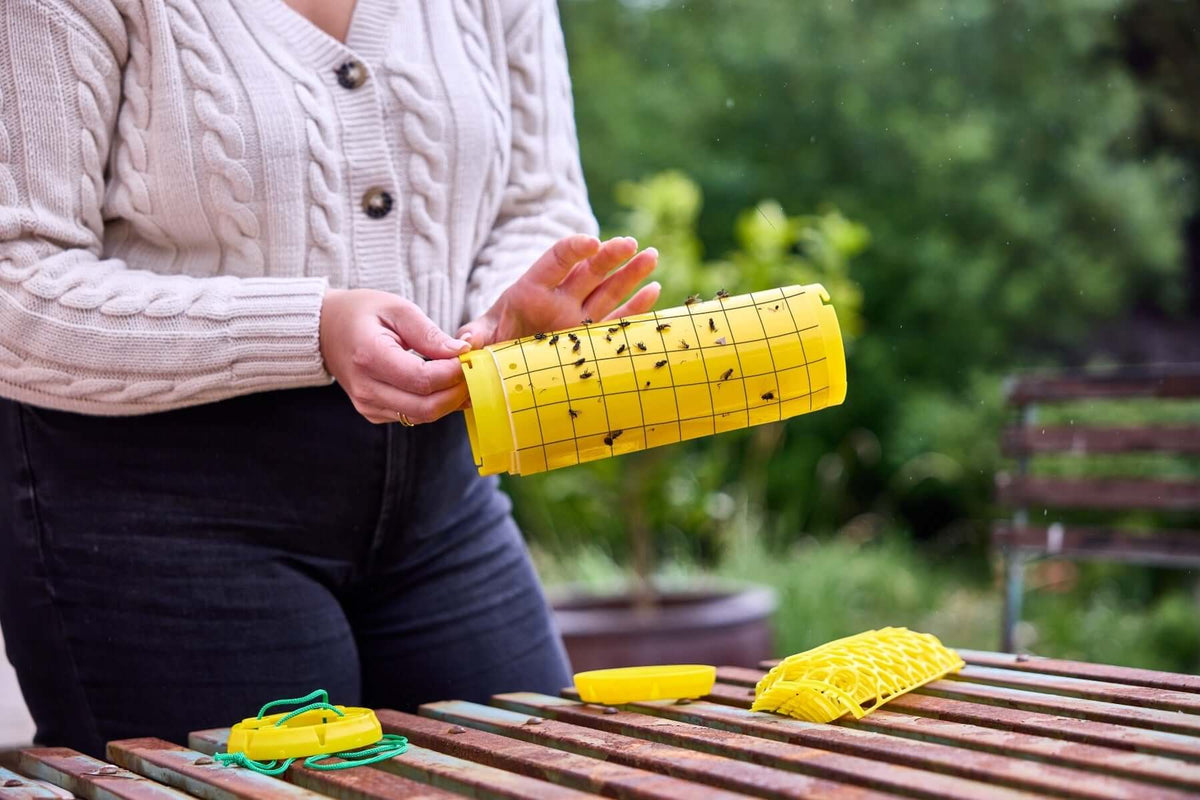 STV Zero In New Gen Fly Traps Refills 3-Pack