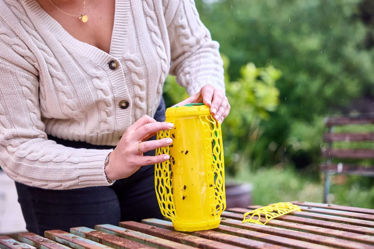 STV Zero In New Gen Fly Traps Refills 3-Pack