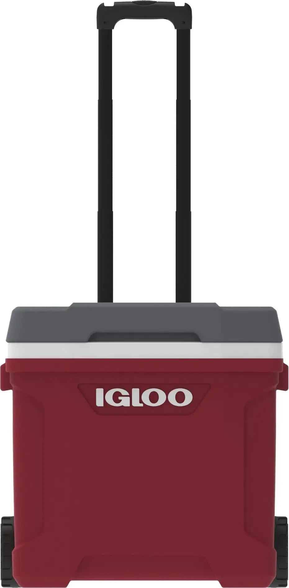 Igloo Latitude Roller Cooler 30 Quart - Shop  Hard-sided Coolers at  Trekaline