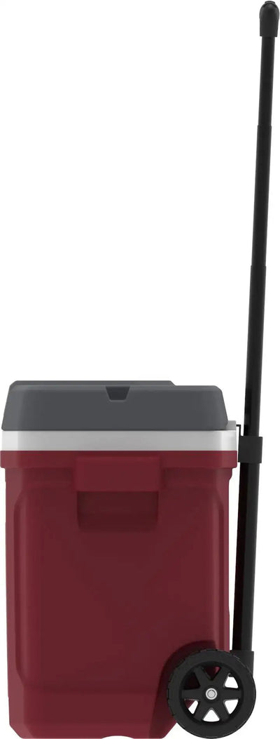 Igloo Latitude Roller Cooler 30 Quart - Shop  Hard-sided Coolers at  Trekaline
